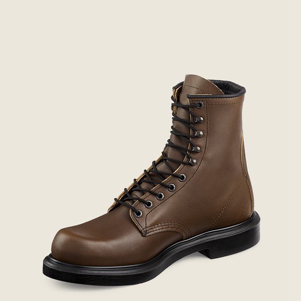 Red Wing Iş Botu Erkek - Supersole® - 8-Inch Soft Toe - Koyu Kahverengi - 49HMOFVNQ